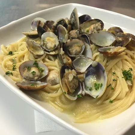 维拉住宿加早餐旅馆 住宿加早餐酒店