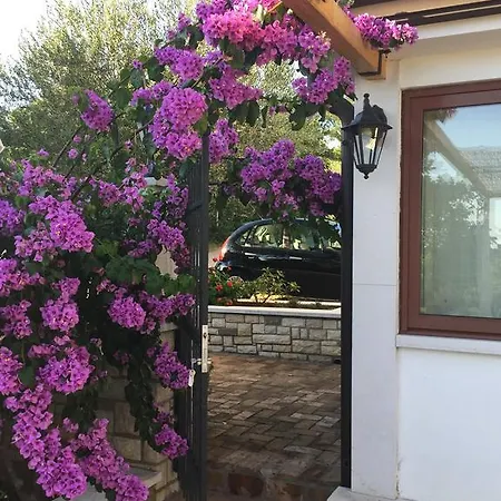 Vera فندق مبيت وإفطار