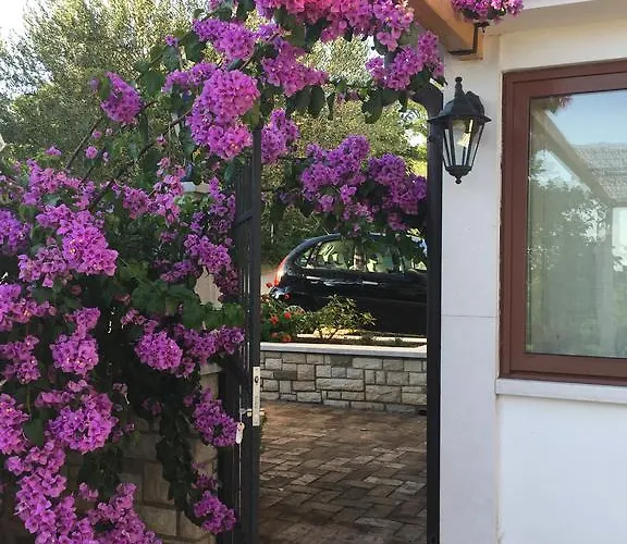 Vera Bed and Breakfast